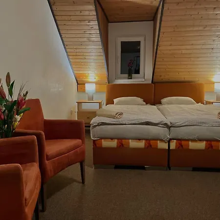 & Restaurant Adolfovsky Dvur *