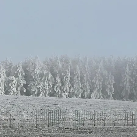 & Restaurant Adolfovsky Dvur Отель *