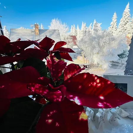 & Restaurant Adolfovsky Dvur * Adolfov